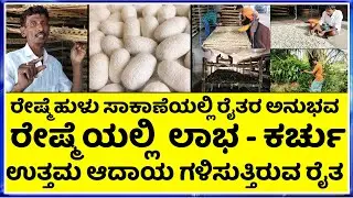 Farmer's experience in silkworm farming || How to Start Sericulture Farming?