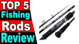 TOP 5 Best Fishing Rods Review 2024