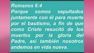 POR EL BAUTISMO SOMOS HERMANOS DE JESUCRISTO unidad 2, todos somos hijos de Dios.
