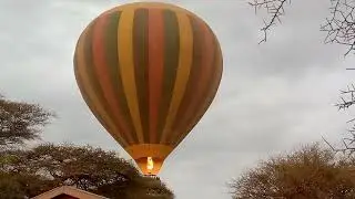 Savannah Adventures safari experiences