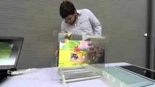 Comparativo | Películas de Projeção Kamaly | PLAYTIX