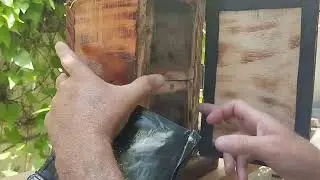 FAÇA MUTIPLICAÇÃO DE ABELHA MOÇA BRANCA,de maneira simples