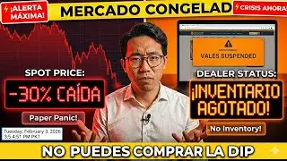 VENTAS SUSPENDIDAS Los distribuidores se niegan a vender plata tras una caída del 30%  Finanzix