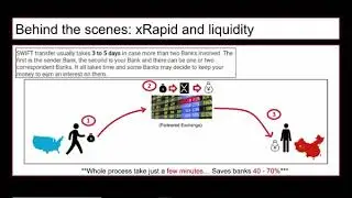 xRapid Explained and Prediction