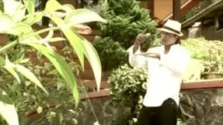 HENDY RESTU-BENTANG KABEURANGAN cipt;che mayor's