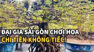 Cho&aacute;ng ngợp SI&Ecirc;U PHẨM MAI, Đ&Agrave;O ở Chợ hoa Tết C&ocirc;ng vi&ecirc;n Gia Định, đại gia chốt đơn kh&ocirc;ng tiếc tiền