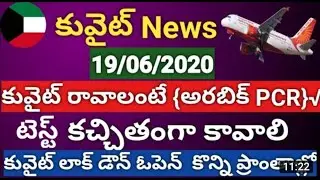 Kuwait Andhra Daily News 19-06-2020 | Kuwait Updates