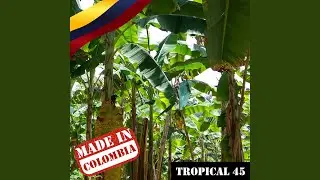 El Iguano