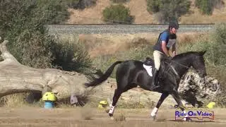 387XC Robert Kellerhouse on Sir Elijah Craig Open Novice Cross Country Twin Rivers Ranch Sept. 2019
