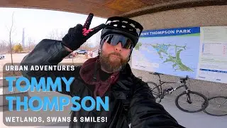 WETLANDS, SWANS, SAND & SMILES! URBAN ADVENTURES: Tommy Thompson Park in Toronto!