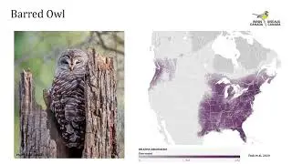 Cavity and Stick Nest Identification Webinar