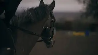 Horse Riding | Cinematic Short Film | SONY A7SIII