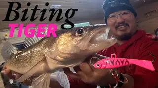 Eyes on Upper Red Lake (Ice) | Lake 0