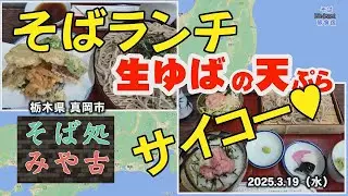 【真岡市・そばランチ】そば処 みや古　生ゆばの天ぷら　そばプリン　そばゼリー　栃木県