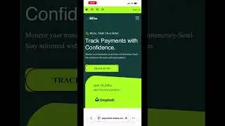 Online payment tracking website