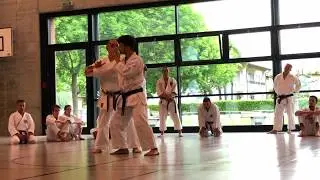 Taketomiryu Goshindo - Straight punch defence - Self defense day 2018 - Taketomikai