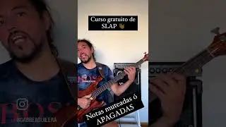 #notas #muteadas #bassguitar #clasesonline #principiantes #beginners #slap #slapit