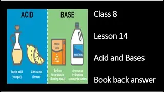 Acids and Bases Book Back class VIII unit14 book back evaluation #answers #guide #samacheer #science