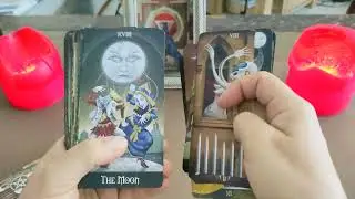 VLOG ma collection de tarot 🫶