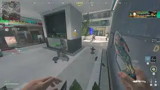 Mosquito Swarm