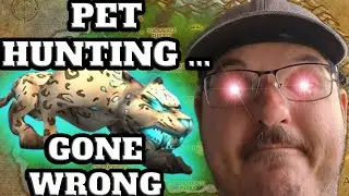 RARE hunter pet find GONE WRONG | WoW MoP Classic