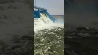 @ranganayakasagar#kaleswaram#siddipet