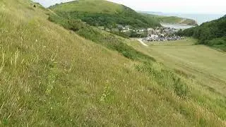 Lulworth Skipper 4 July 2022 at Lulworth Cove