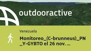 Video 3D interactivo: Monitoreo_(C-brunneus)_PN_Y-GYBTO el 26 nov. 2025 8:27:55 a.&nbsp;m.