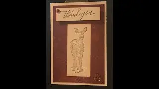 FB Live National Card Making Day!!