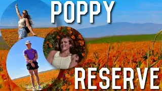2023 Poppy Reserve SUPER BLOOM |  Explore California With Us!