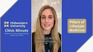 The 6 Pillars of Lifestyle Medicine 🏋️&zwj;♀️🍎💤