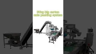 30kg carton nuts packing system--Focus Machinery