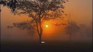 ll Yehi Dil Jo Barso Se ...ll Love Status..ll #boader ll #army ll #bollywood ll #nature..ll  