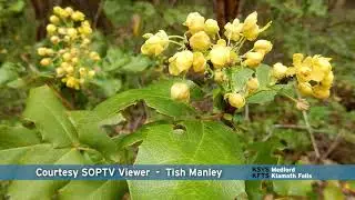 Visions of Southern Oregon - 