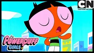 Пестик-качок | Суперкрошки | Cartoon Network
