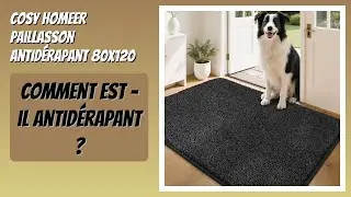 AVIS (2026) : COSY HOMEER Paillasson Antid&eacute;rapant 80x120 cm. D&Eacute;TAILS