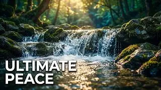 River Sounds 🌊 Natural Flowing Water for Relaxation, Sleep & Stress Relief