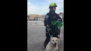 IAEM Presentation How does the USAR Search K9 Work