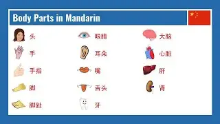 Body Parts in Chinese