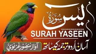 Surah Yaseen 🤍 This Ayah Will Find You | Quran Recitation with Urdu