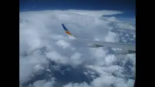 Flight Back Home