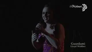 Highlights 2: Concerto [Alchimia] (i Molinari & orquestra) [HD-CD]