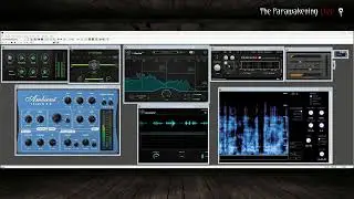Echoes of the Unseen: Live Instrumental Trans-Communication Test