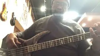 Ibanez SRMS800