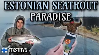 Coastal Sea Trout Fishing At The Baltic Sea