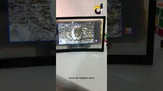 12-Inch HD Mobile Screen Magnifier | DS Traders