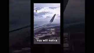 flight 198 is challenging us to a race