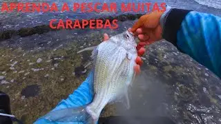 Pescaria de Carapebas na Praia de Boa Viagem, só vinha dublê!