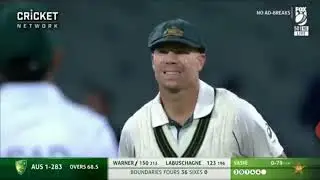 david warner century  david warner 300 david warner triple century cricket Australia, cricket India