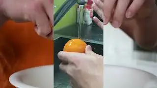 The Kitchen Symphony